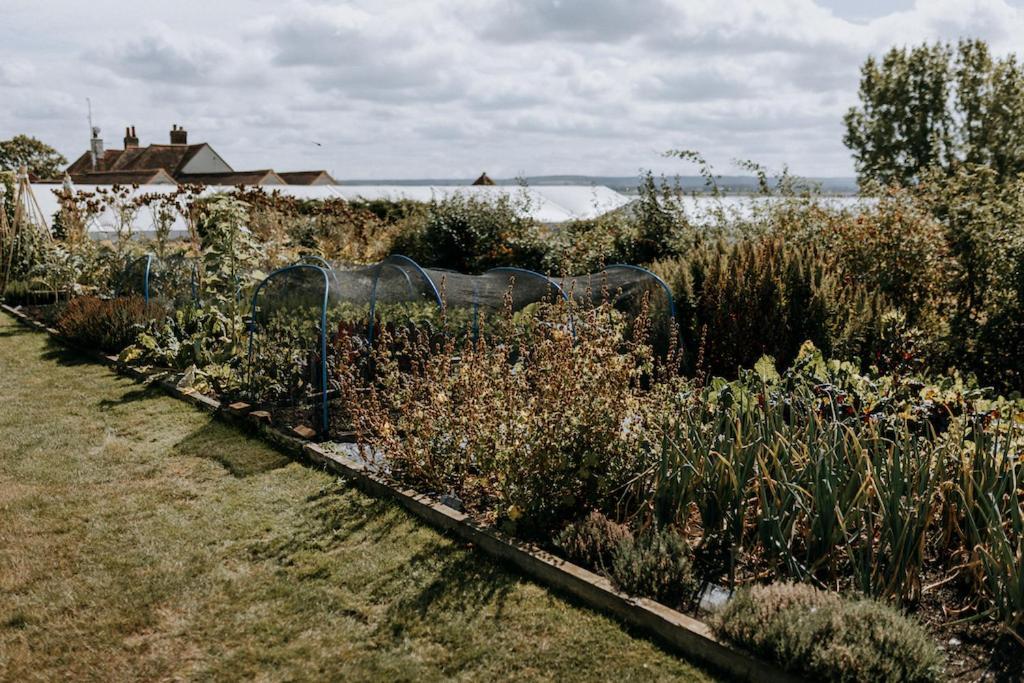 Bed and Breakfast The Ferry House Eastchurch Exteriér fotografie